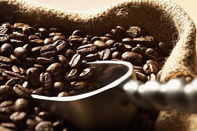 《方舟生存进化》次世代版本新生物“法索拉鳄”首曝，沙漠巨鳄凶猛异常